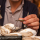Image for article titled Come Along on a Bourbon-soaked Eating and Drinking Tour of Seattle, Wild Boar and Urchin Included
